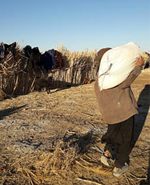 تهیه آرد برای خانوارهای عشایر زابل