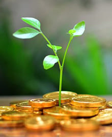 تامین هزینه اشتغال زایی خانواده صادقی