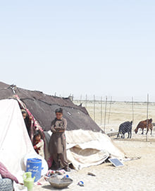 تهیه سرویس بهداشتی برای عشایر زابل