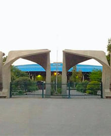 رویای دانشگاه